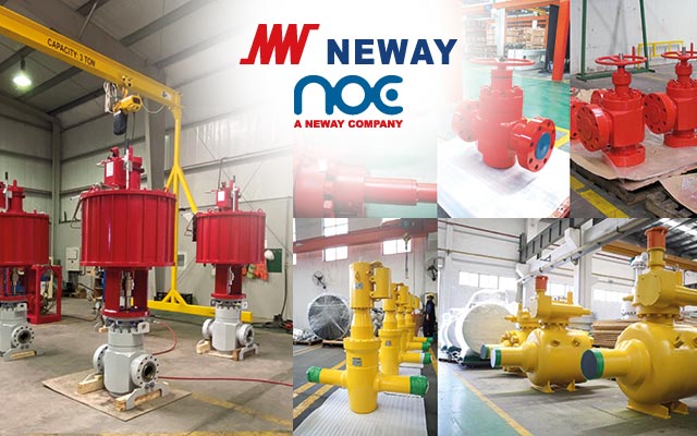 NEWAY NOE produits